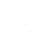 Sports & Games